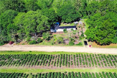 386 Fox Rd, Mershon, GA 31551 - photo 6