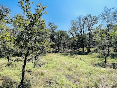 Tbd Interstate 20, Santo, TX 76472 - photo 4