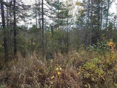 0 Wilson School Rd, Tomahawk, WI 99999 - photo 4