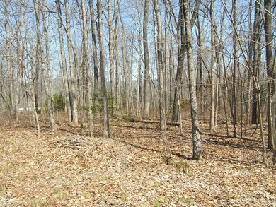 567 S and T Rd, Dunlap, TN 37327 - photo 6