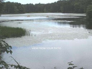 16 Pond View Way, Carver, MA 02330 - photo 2