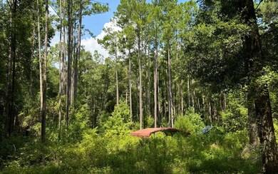 222 SW Loncala Loop, Fort White, FL 32038 - photo 3