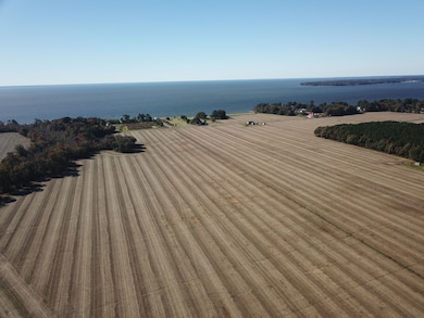 00 Muddy Creek Rd, New Hope, NC 27944 - photo 4