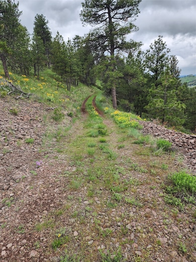 NHN Lightning Ridge Ln, Cascade, MT 59421 - photo 3