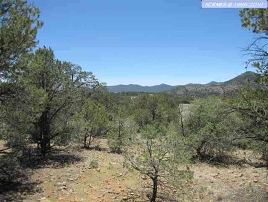 LOT 162 Swan Street @ Chimboraza Point unit Dos Griegos Phase 5, Silver City, NM 88061 - photo 3