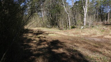 3480 Verona Caney Rd, Lewisburg, TN 37091 - photo 7