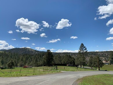 309 Edgewood Dr, Canyon City, OR 97820 - photo 4