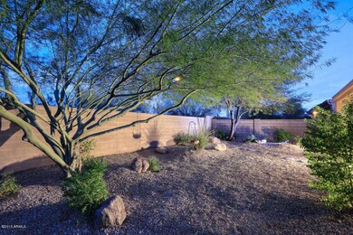 Night-Backyard2