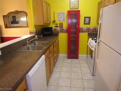 603 Aqua Marine Blvd unit 3, Avon Lake, OH 44012 - photo 7