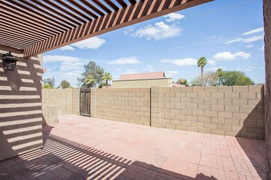 Huge Back Patio