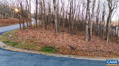 23 Rock Tree Ln, Roseland, VA 22967 - photo 7