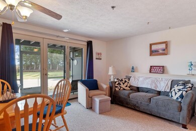 Sun Filled Rooms