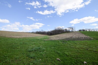 Lot 2 Monroe Sylvester Rd, Monroe, WI 53566 - photo 5