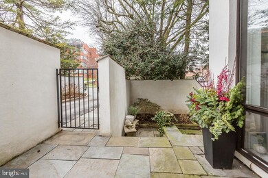 250 Montgomery Ave unit A, Haverford, PA 19041 - photo 3