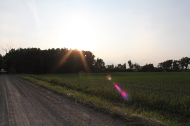 Road looking at east side of woods