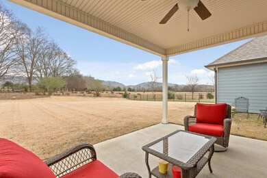 8503 River Birch Loop, Ooltewah, TN 37363 - photo 7