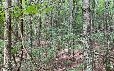 Additional View