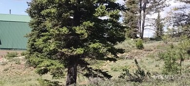 Middle of property