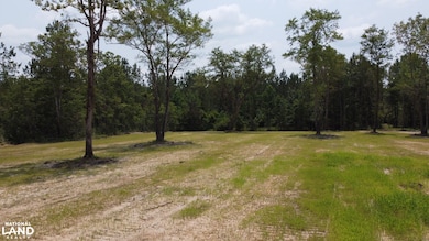 0 Steed Creek Rd unit 25684026, Huger, SC 29450 - photo 2