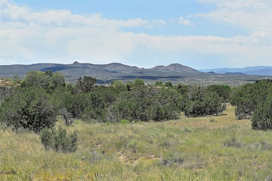 10 Cloudview Ct, Santa Fe, NM 87506 - photo 6