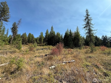 0 St Peter's Creek Rd unit NWM2456624, Malo, WA 99150 - photo 7