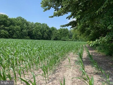 3228 Thompsonville Rd, Milford, DE 19963 - photo 7