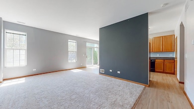 5018 Elmira Ct unit 3, Plainfield, IL 60586 - photo 7