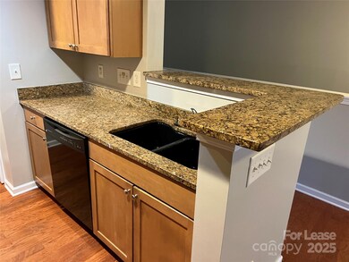 3929 Picasso Ct unit 3929, Charlotte, NC 28205 - photo 5