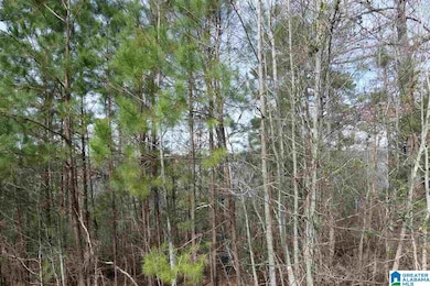 LOT # 20 Overlook Dr, Wedowee, AL 36278 - photo 2