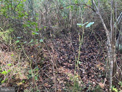 162-164 Powell Rd, Dennis, NJ 08270 - photo 6