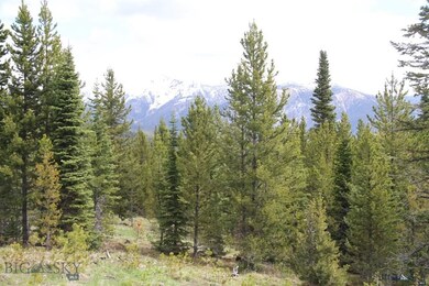 0 Goshawk Trail unit 206029, Big Sky, MT 59716 - photo 5