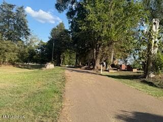 205 Parker St, Duck Hill, MS 38925 - photo 4