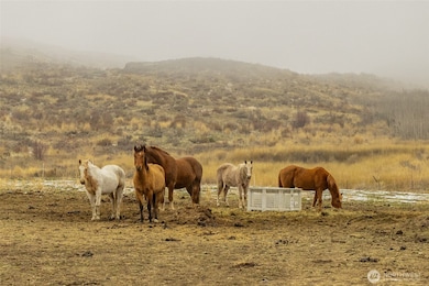 12 Charlie Dr, Pateros, WA 98846 - photo 3
