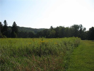 Land/Lot. Wooded, sloping down to Little Buffalo C