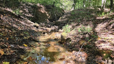 929 Poplar Ridge Rd unit (Ponds Poplar Ridge, Gallipolis, OH 45631 - photo 3