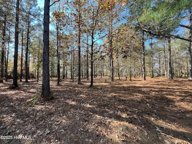 45 N Berne Landing Rd, New Bern, NC 28562 - photo 3