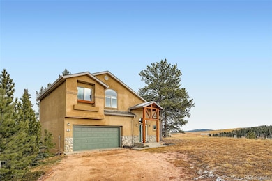 190 Shannon Place, Divide, CO 80814 - photo 4
