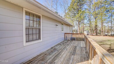 238 Washington College Station Rd, Limestone, TN 37681 - photo 7