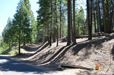 3112 Apache Rd, Arnold, CA 95223 - photo 6