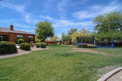 Backyard2