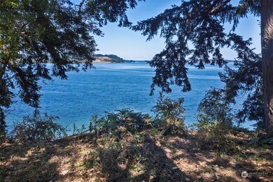 10709 Larson Rd unit AI, Anderson Island, WA 98303 - photo 4