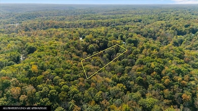 1006 Crestview Ct, Kingston Springs, TN 37082 - photo 2