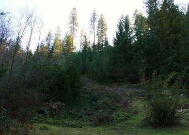 6105 Rogue River Hwy, Rogue River, OR 97537 - photo 5