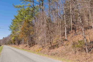 TBD Indigo Rd, Christiansburg, VA 24073 - photo 2