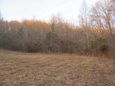 1 Wilson Cemetery Rd, Tyner, KY 40486 - photo 7