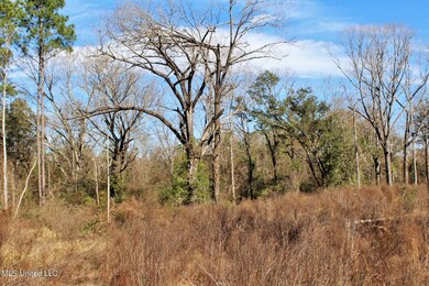 2.32ac Crabapple Ln, Lucedale, MS 39452 - photo 5