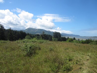 Lot and view