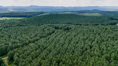 0 Back Valley Rd unit 25606694, Lyerly, GA 30730 - photo 3