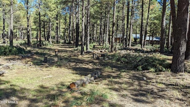 Tree thinning in process