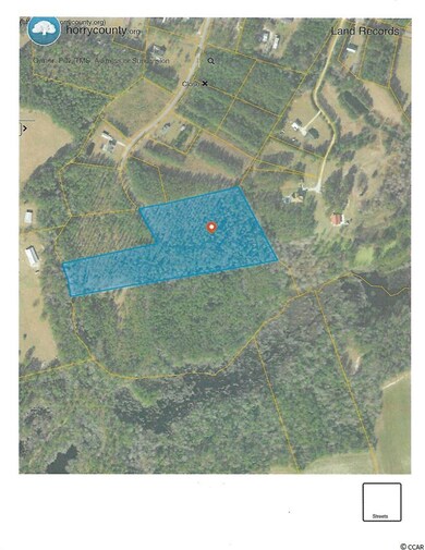TBD 11.7 Wilderness Ln, Loris, SC 29569 - photo 4
